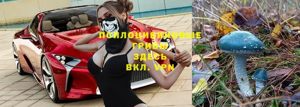 круглые Майский